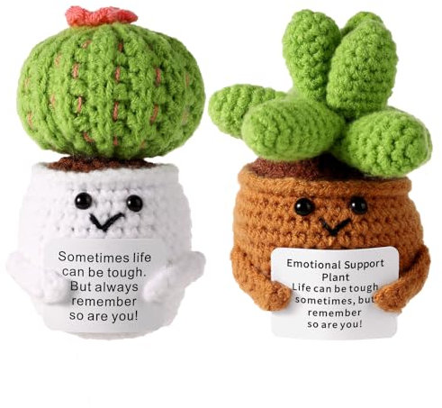 lasuroa 2pcs Plante Positive, Cactus Positif Succulentes Tricotées Succulentes Positives Cactus en Tricoterfleur Mini Plante Tricot pour Décoration de Fête Cadeau Encourageant