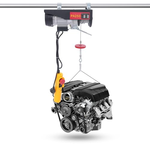 Elektrischer Flaschenzug, 800 kg, Gerüst mit Seilwinde, 220 V, mit Wired Remote Controller, Schutzklasse IP40, für Garage, Lager, Hebefabrik, Landwirtschaft (Schwarz 250 kg)