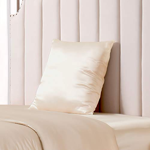 THXSILK 25 Momme Seide Kissenbezug für Haar und Haut - Maulbeerseide Kissenbezug - Hypoallergen mit Versteckter Reißverschluss - Pure Seide auf Beide Seiten … (Champagner, 80x80cm)