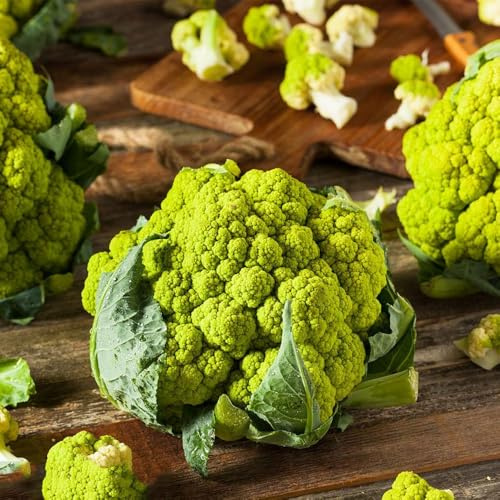 semillas de coliflor orgánicas, resistentes balcón jardín interior 100pcs