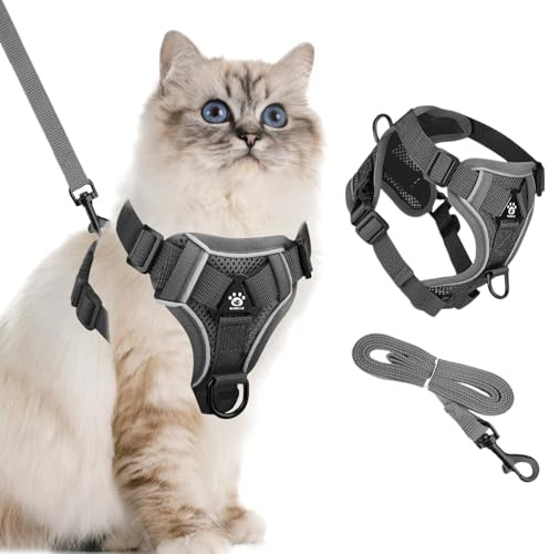 Pettorina Cane Taglia Piccola, Imbracature di Traspiranti Regolabili Riflettenti 1,5M, Imbracatura e Guinzagli Set per Cani, Traspirante Imbracatura Cane Imbottito per Corsa Passeggiate (S)