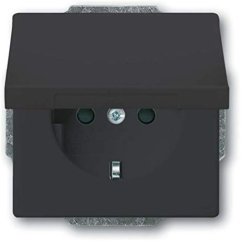 Busch-Jaeger SCHUKO Steckdosen-Einsatz 20 EUKB-81 anthrazit Steckdose 4011395229187