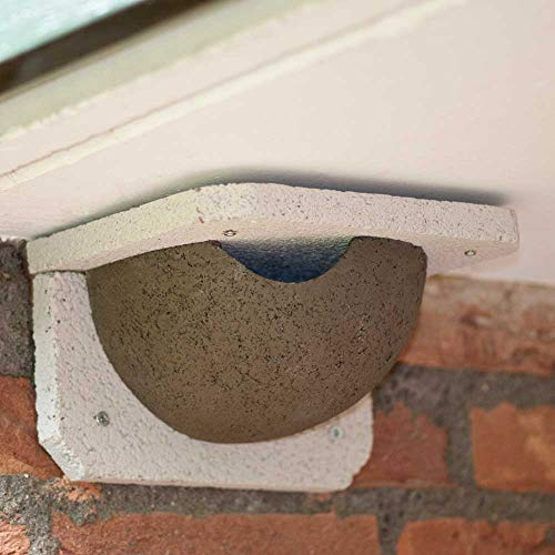 CJ Wildlife House Martin Nest Box – Bird Box for Garden – WoodStone Grey Wood and Concrete Composite – Includes Fixings – Vivara Pro Range