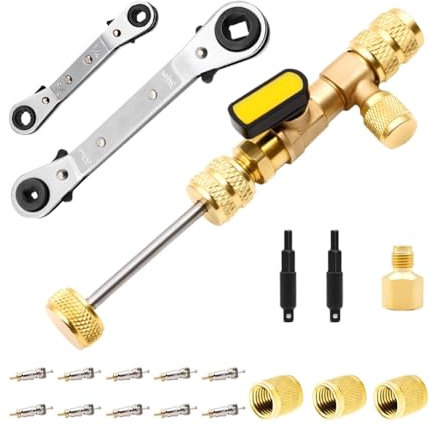 Xptieeck Ventileinsatz-Entfernerwerkzeug mit SAE-Anschluss in Doppelgröße 1/4 und 5/16, 10 Ventileinsätze mit Dichtung und 3 Messingmuttern