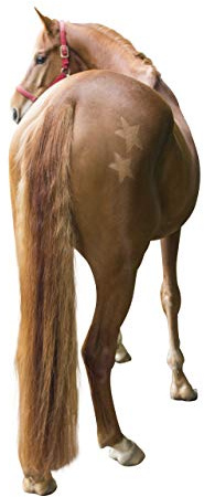 Kerbl 321900 Scherschablone Für Pferde, 3-Er Set