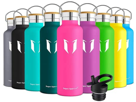 Sparrow Water Bottle Stainless Steel - Insulated Metal Water Bottles 750ml