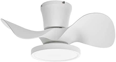 ocioc Quiet Ceiling Fan with LED Light 22 inch Large Air Volume Remote Control for Kitchen Bedroom Dining Room Patio
