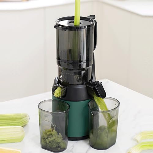 LJPZYOY Fruit Press Machine Masticating Juicer Machine with Quiet Motor,& Reverse Function Cold Press & Carrot Juicer with 13cm Wide Chute Slow Juicer Machines for Fruits & Vegetables,Green