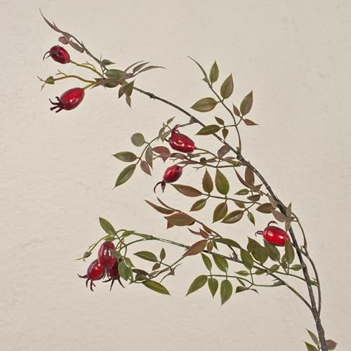 artplants.de Plastkvist med vildrosor VARDALIA med nypon, röd, 95 cm