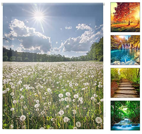 Blindecor Digital Paisajes | Estor Enrollable Translúcido con Estampado Impresión Digital | 150 x 180 cm (ancho por alto) Tamaño de la Tela 147 x 175 cm | Estores para Ventanas