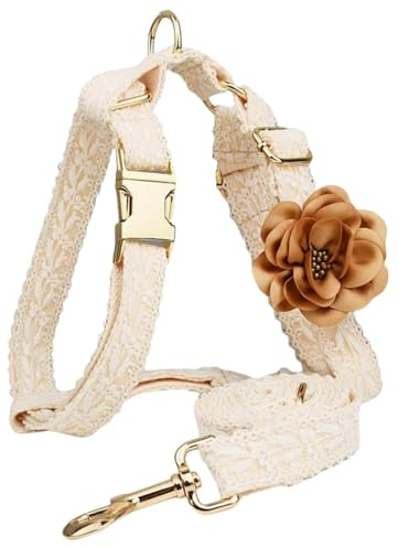 HQREA Hundegeschirr mit Leine, niedlich, weich, kein Ziehen, mit bequemem, gepolstertem Griff, für einfaches Spazierengehen, Größe L