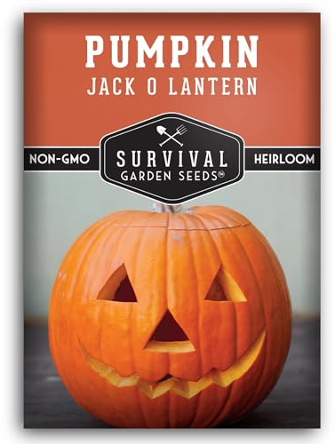 Jack O' Lantern - Semillas de calabaza para plantar | Calabazas talladas reliquia para Halloween, decoración de cosecha de otoño, variedad sin OMG, semillas de jardín de supervivencia (paquete de 1)