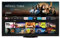 Panasonic TV-55Z95AEG 4K Smart OLED-TV 139 cm (55)