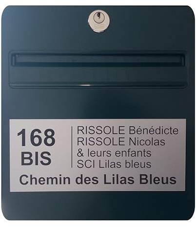 Plaque boite aux lettres personnalisable - 24 x 10 cm - 5 lignes - Numero de maison exterieur - Etiquette boite aux lettres - Nom - Famille - Entreprise - Plaques d'adresses (Argent)