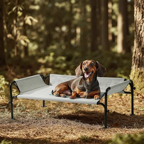 Gardner Pet Letto Rialzato per Cani Taglia Grande e Media, Brandina Traspirante da Esterno e Interno, Cuccia Estiva Resistente ai Graffi per Cani, Struttura in Metallo, Grigio, S - Modello Standard
