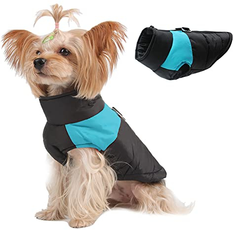 Novetec Hundemantel für Hunde Hundejacken Wasserdicht Hunde gegen Kälte und Wind im Winter (4XL (Brust:65cm Rücken:52cm), Blau)