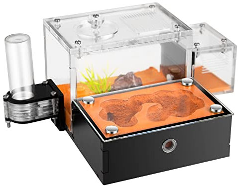 Rimsunta Formicarium – Ameisenfarm Lebensraum für lebende Ameisen & Königin, Erwachsenenpädagogisches Set für Ameisenverhaltensstudien und Lernen