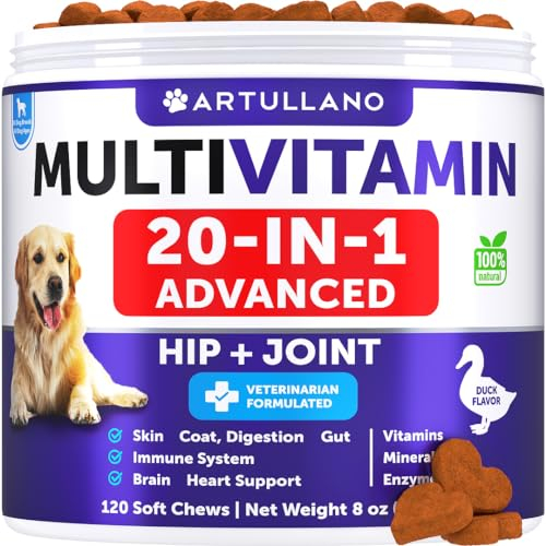 Dog Multivitamin Chewable with Glucosamine 26 in 1 - Dog Vitamins and Supplements - Senior & Puppy Multivitamin for Dogs - Pet Joint Support Health - Immunity, Mobility, Gut Skin - 120 Chews