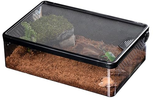 Reptilvivarium, transparent reptiltank, terrarium-kit, anti-rymning andningsbart faunarium ventilation burfodral husdjur hus tank terrarium burk för skalbaggar, ödlor, spindlar och skorpioner
