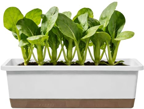Vasi autoirriganti, contenitore per piantare pomodori, con base, foro di drenaggio e corda assorbente, vasi da fiori rettangolari | per posto di lavoro, davanzale, terrazza, balcone, portico, cortile