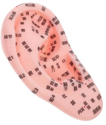 HIAKDOFT De Acupuntura Auricular Para Masaje De Orejas Dispositivo De De El Oído Anatómico Oreja Aprendizaje De Puntos De Acupuntura