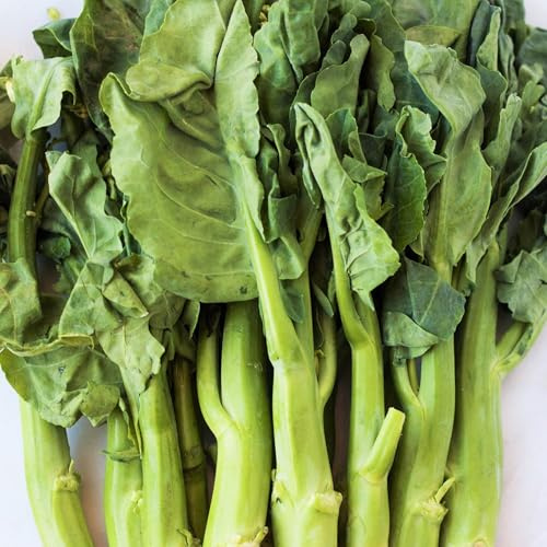 TomorrowSeeds - Chinese Broccoli Seeds - 2000+ Count - for 2026 Planting Jie LAN GAI LAN Rapini Rabe Kale Stem Greens Cabbage Yu Choy Kai LAN Asian Vegetable Grow Your Own Home Farm Patio Healthy