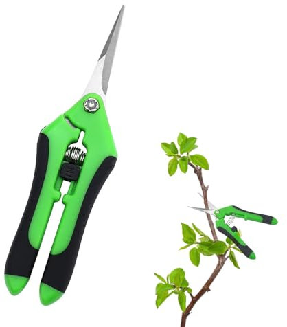 DHWEKU Secateur de Jardin, Cisaille de Jardin, Sécateur Jardin Ergonomiques, Ciseaux Bonsai, Sécateur pour coupe branche,Plantes, Fleurs, Branches, Roses, Bonsaïs, Légumes, Fruits