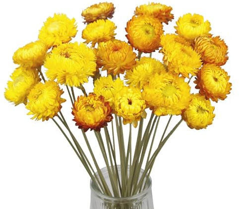20 Piezas Flores Secas Preservadas Naturales, Flores Secas Decorativas