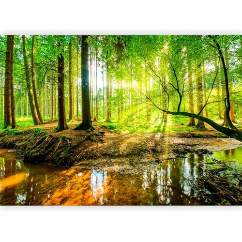 artgeist Wall Mural Forest 116x83 in - Peel and Stick Self-Adhesive Wallpaper Removable Large Sticker Foil Wall Decor Print Picture Image Design Landscape Nature Tree Sun c-B-0241-a-a