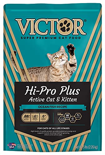 VICTOR Super Premium Cat Food – Hi-Pro Plus Active Adult Cat and Kitten – Dry Feline Food for Active Cats – All Breeds and All Life Stages – Supports Energy, Healthy Coat, Immune Function, 5lb