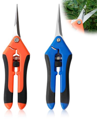 UYVPAER 2 Piezas Tijera Podar Pequeña Para Jardinería, Punta Recta Profesionales Para Recoger Frutas Árbol Flor Ramas, Longitud: Cuchillas De Acero Iinoxidable, Mangos De Plástico