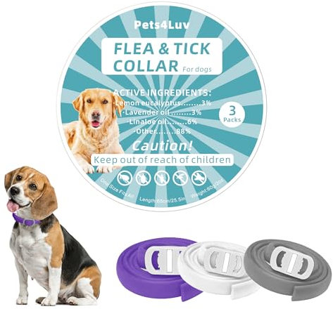 Collare antipulci per cani, 3 colori, durata fino a 2 anni, 65 cm, ingredienti oli essenziali al 100%