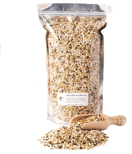 Quick Sprouting Seed Mix for Parrots - Natural Sprouting Mix Highly Nutritious Healthy Bird Feed - 2Kg