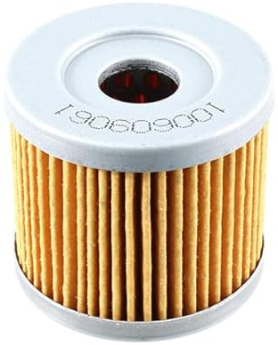 cyclingcolors Filtro de aceite para motocicleta, scooter y ciclomotor compatible con hyosung gt gv rt rx suzuki an 125 150 400 burgman dr gn gz uc ue uh ux