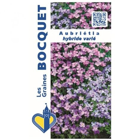 Sachet de graines de Aubriétia purpuréa hybride variée - 0,3 g - fleur vivace - LES GRAINES BOCQUET