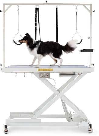 CO-Z Table de Toilettage Électrique pour Chiens 120×60CM pour Animaux de Compagnie Hauteur Réglable en 4 Colliers Station de Toilettage Baignade Séchage pour Chiens Chats Capacité 110kg, Blanc