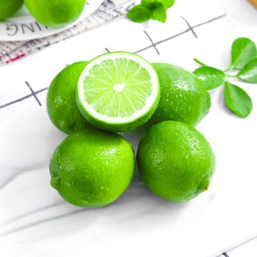 Zitronenbaum samen （lemon tree）、 säulenobst winterhart、schattenpflanzen obstbaum、kübelpflanzen、baumsamen bonsai samen、säulenobstbäume pflanztöpfe、pflanzen für sonnige plätze hochbeete 60pcs