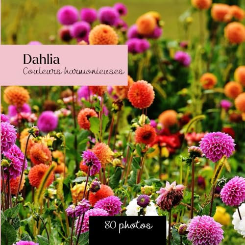Dahlia : Couleurs harmonieuses: Livre photo de dahlia - 80 images captivantes de la beauté florale
