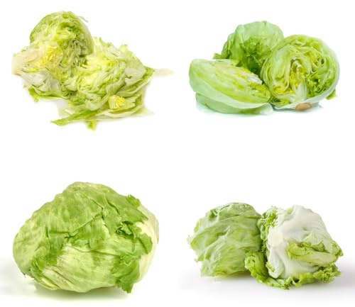 semi di lattuga iceberg biologici - esotiche resistenti fresca, rare, decorazione da giardino all'aperto 100pcs