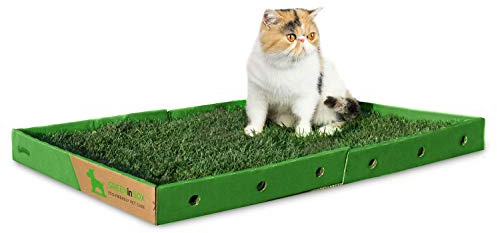 GreenInBox Super Cat - 60 x 80 cm Cuccia per Gatti in Vera Erba