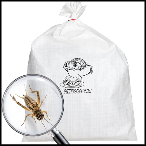 Livefoods4u House Brown Crickets 8-12mm Bulk Bag 500 | Reptile Food | Sustainably UK-bred live crickets for reptiles & lizards. High-protein feeder insects, bulk bag of 500.