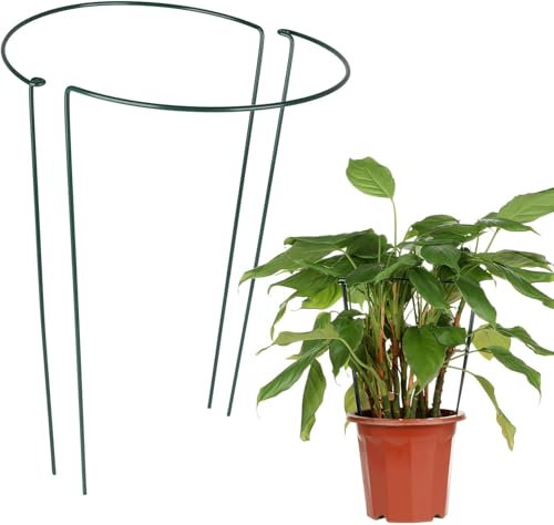 Lot de 2 supports de jardin robustes en métal pour pivoines, hortensias, roses - 30 x 50 cm (l x H)