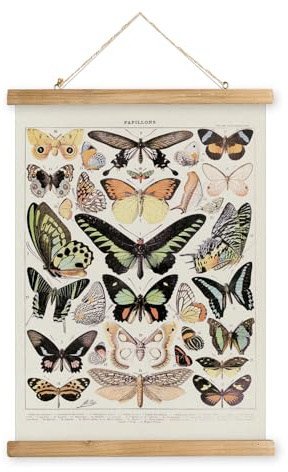 XIAOAIKA Vintage Butterfly Poster Hanger Frame, Cottagecore Room Decor Aesthetic, Retro Style Wall Decor Art Painting, Patterns are Printed on Linen Without Fading (16 x 23 inches)