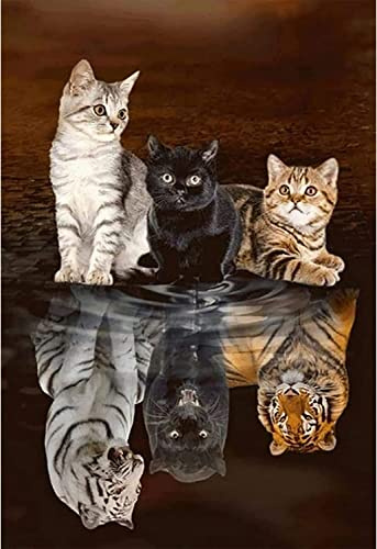 XIATIAN 5D DIY Diamond Painting Kit Completo, Kit di Pittura per Diamanti per Bambini Adulti, Pieno Diamante Cristallo Pittura Digitale Arte Strass Ricamo, per Decorazione Casa (Gatto 30x40 cm)