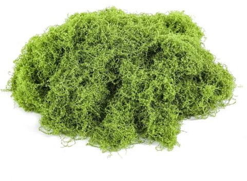 Bieiyhe 100g Bastelmoos Natur,Konserviertes Moos Deko,Kunstmoos zum Basteln,Islandmoos Fake,Getrocknetes Moos,Kunstmoos zum Dekorieren, Trockenmoos,Bastel Moos Konserviert, Künstliches Moosbild