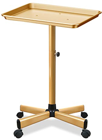 Retain Time Premium Aluminum Salon Tray, Sturdy Corrosion-Resistant Adjustable Tray is Used for Salon Tray on Wheels, Salon Tool/Color Tray, Beauty Spa Tray, Dentist Tray, Etc.…(Gold)