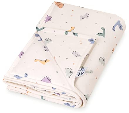 Julius Zöllner Jersey Decke gefüttert aus Baumwoll-Jersey | Gr. 70x100 cm | Made in Germany | OEKO-TEX® STANDARD 100 | LittleDinos