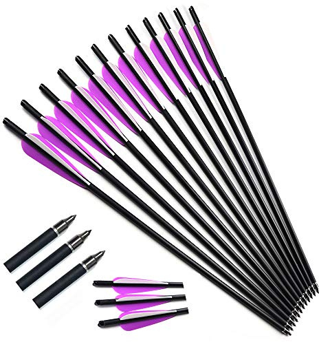ACCMOS 16 Flèches Arbalète Chasse Flèche d'arbalète Diamètre Intérieur 7.6mm 16 Pouces Flèches de Carbone avec Pointe en Acier Amovible Tir à l'arc Chasse Tir Cible d'entrainement