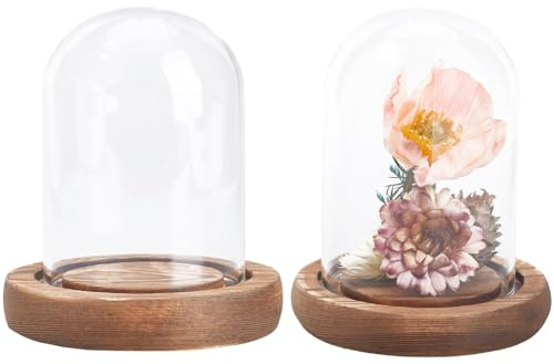 SUNNYCLUE 2 cúpula de Exhibición de Campana de Vidrio, Campana de Vidrio de 89x93 mm con Base de Madera, Campana de Vidrio, Cubierta de Cúpula de Vidrio, Cúpula de Exhibición de Vidrio, Tarro de Campa