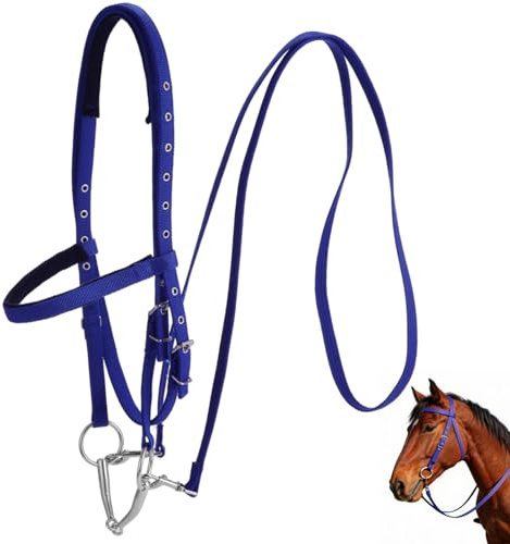 Bridon pour cheval avec mors, grand filet et rênes en nylon réglables, têtière et muserolle matelassées, boucle à dégagement rapide, pour chevaux de plus de 1,30 m au garrot, bleu